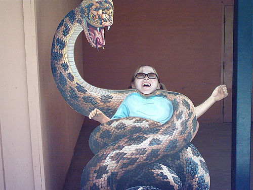 /img/python eating.jpg